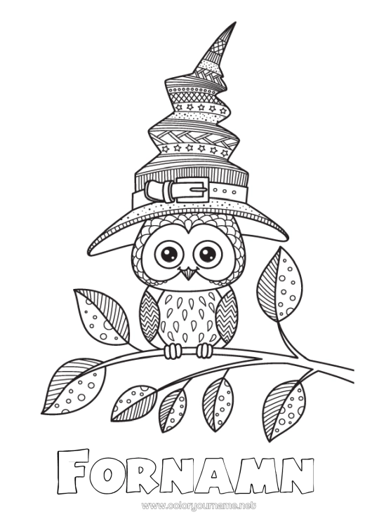 Färgläggningssida att skriva ut Häxa Halloween Mandala Uggla, Hök Hatt Fåglar och flygande däggdjur