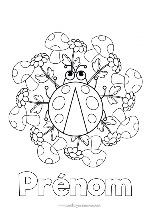 Coloriage à imprimer Fleurs Mandala Animal Champignon Coccinelle Coloriages intermédiaires Insectes