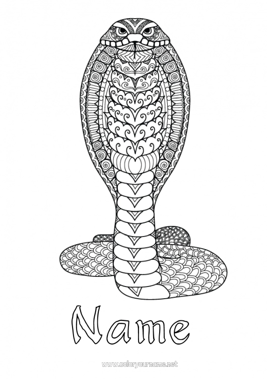 Coloring page to print Mandala Snake Complex coloring pages Zentangle Reptiles