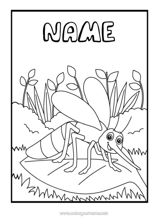 Colouring page to print Animal Intermediate Colouring Sheets Insects Mosquito