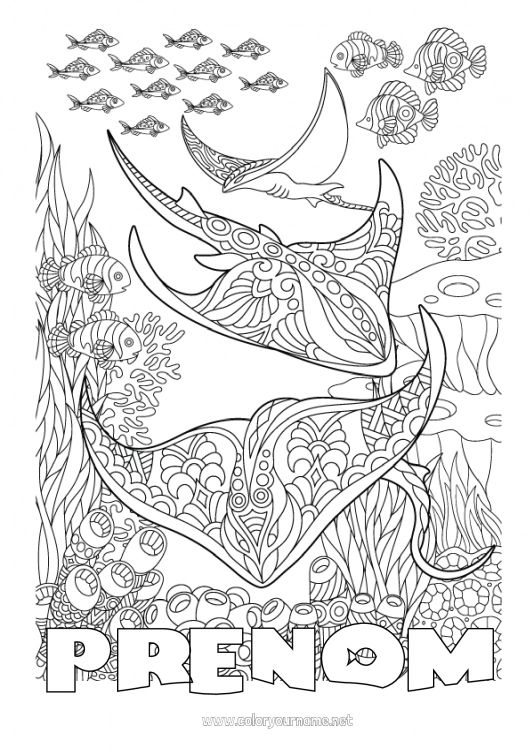 Coloriage à imprimer Mandala Mer Poisson Coloriages complexes Zentangle Raie Animaux marins ou aquatique