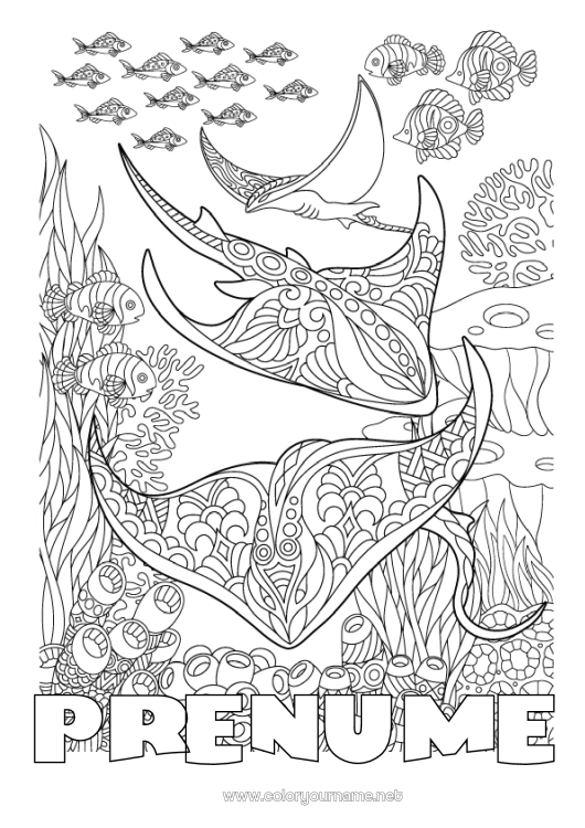 Pagină de colorat de imprimat Mandala Mare Animal Pește Desene de colorat complexe Zentangle Raie Animale marine sau acvatice