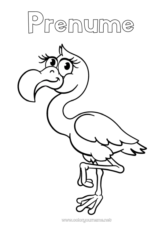 Pagină de colorat de imprimat Animal Flamingo roz Păsări și mamifere zburătoare