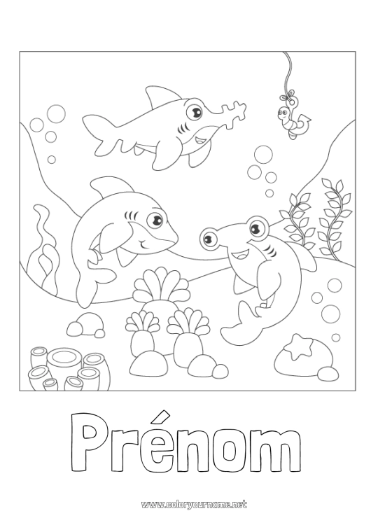 Coloriage à imprimer Mer Requin Animaux marins ou aquatique Requin marteau