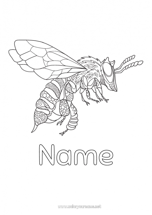 Coloring page to print Mandala Bee Zentangle Insects