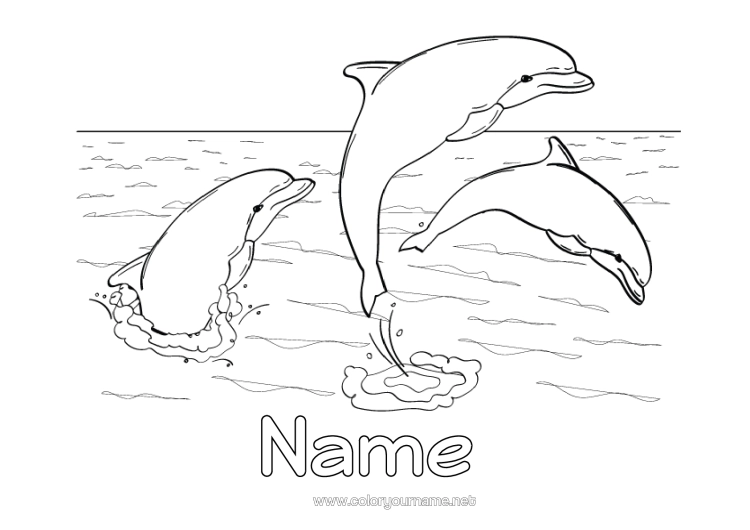 Colouring page to print Sea Animal Dolphin Marine Or Aquatic Animals