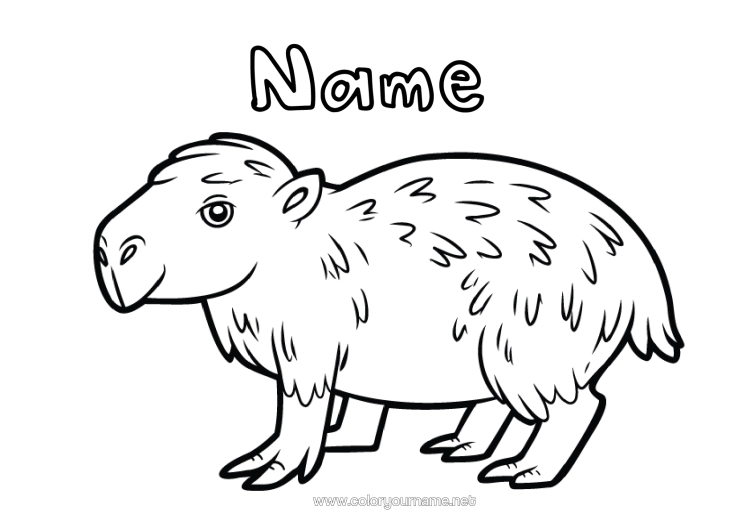 Colouring page to print Animal Forest Animals South America