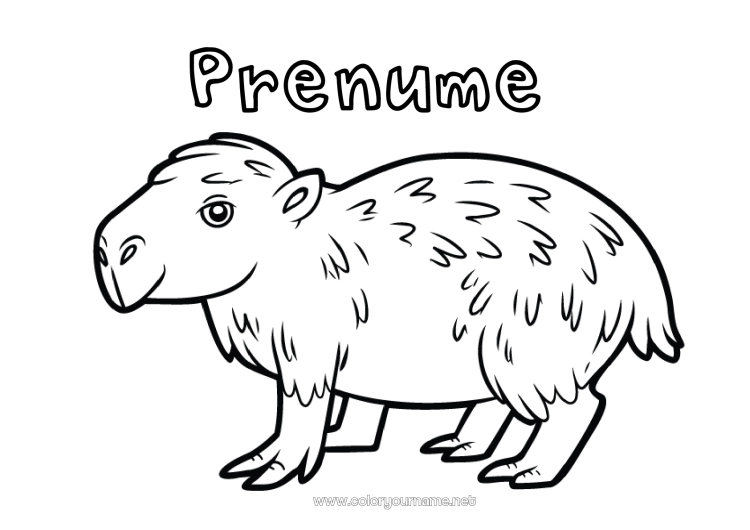 Pagină de colorat de imprimat Animal Animale din pădure America de Sud