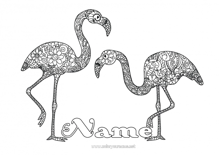 Coloring page to print Complex coloring pages Pink flamingo Zentangle Flying birds and mammals