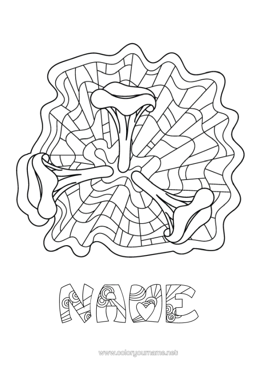 Colouring page to print Mandala Mushroom Intermediate Colouring Sheets