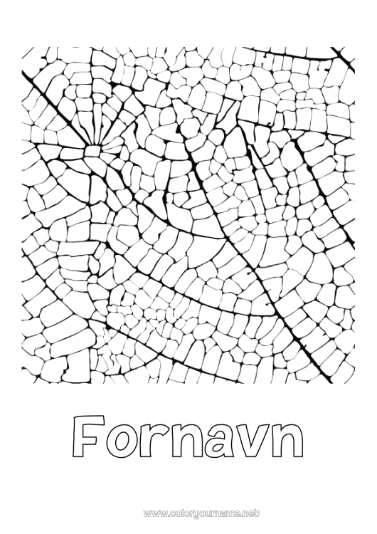 Farvelægningssiden til udskrivning Blade Dekoreret navn Komplekse farvelægninger Zentangle
