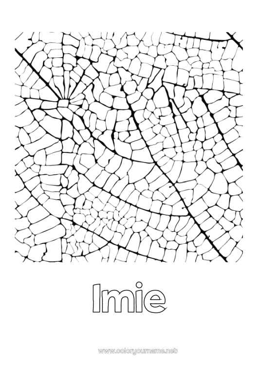 Kolorowanka do wydruku Liście Nazwisko odznaczone Złożone kolorowanki Zentangle