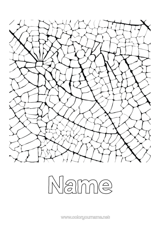 Colouring page to print Leaves Decorated Name Complex Colouring Pages Zentangle