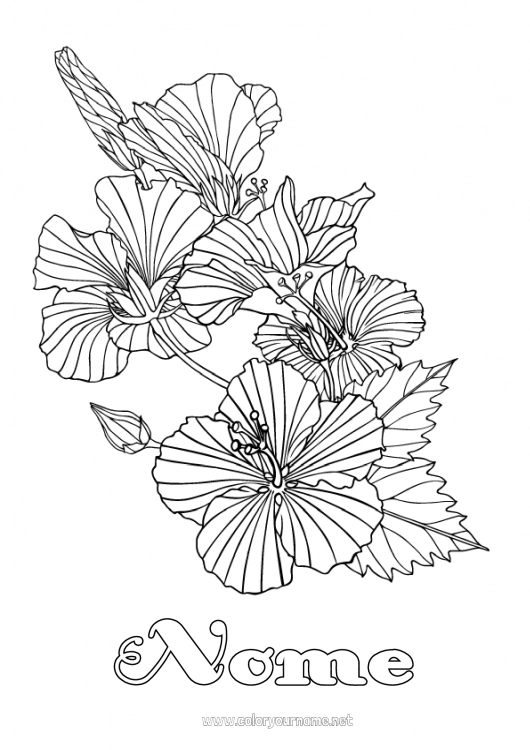 Página de desenho para imprimir Flores Colorações Complexas Hibisco