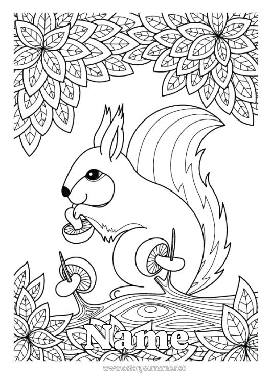 Colouring page to print Squirrel Autumn Animal Leaves Mushroom Zentangle Forest Animals