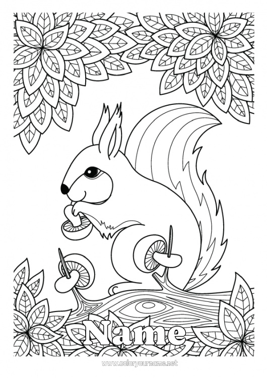 Coloring page to print Squirrel Autumn Leaves Mushroom Zentangle Forest animals