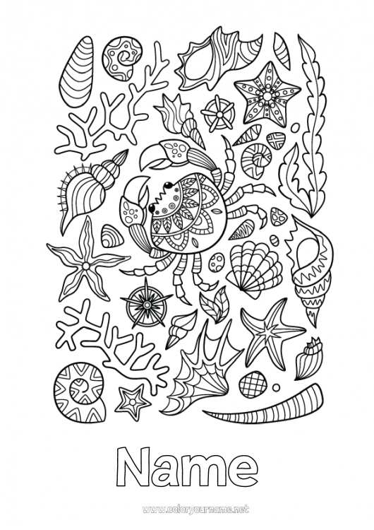 Coloring page to print Sea Animal Crab Sea Shell Complex coloring pages Starfish Marine or aquatic animals