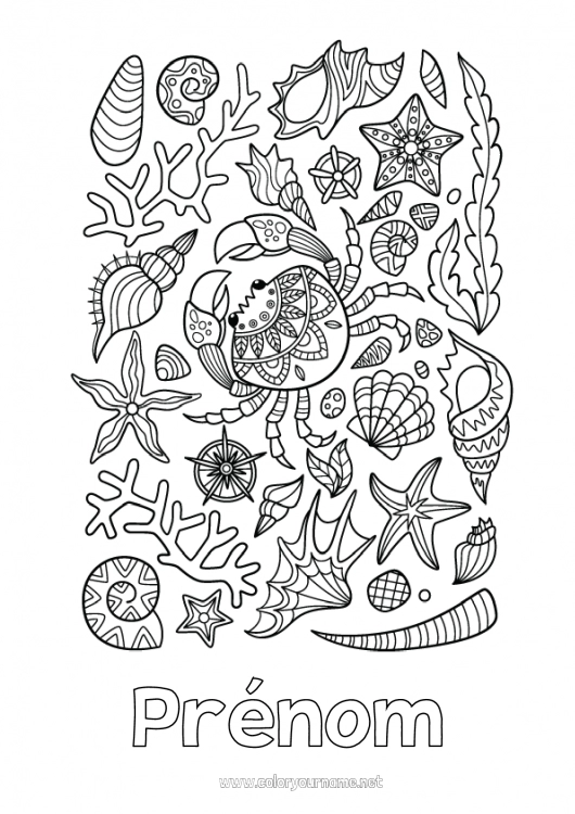 Coloriage à imprimer Mer Animal Crabe Coquillages Coloriages complexes Étoile de mer Animaux marins ou aquatique