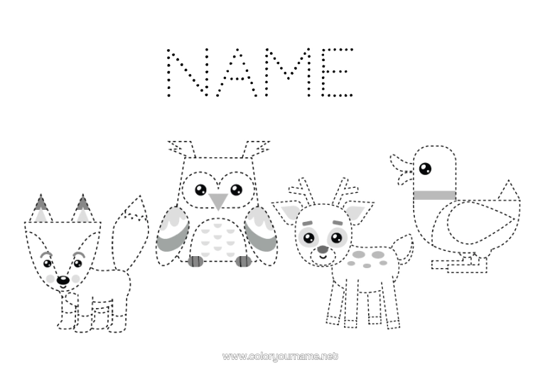 Colouring page to print Fox Owl, Tawny Owl Animal Trace And Colour. Duck Birds And Flying Mammals Forest Animals