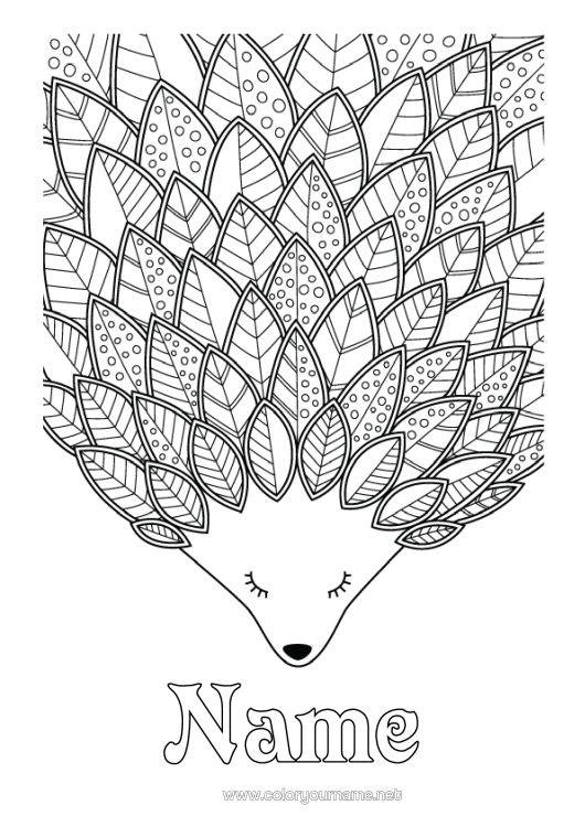 Colouring page to print Hedgehog Autumn Animal Leaves Complex Colouring Pages Zentangle Forest Animals