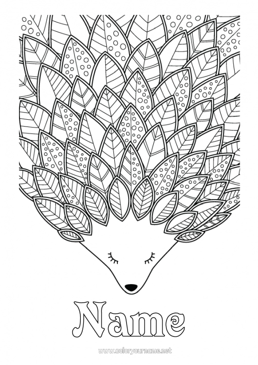 Coloring page to print Hedgehog Autumn Leaves Complex coloring pages Zentangle Forest animals