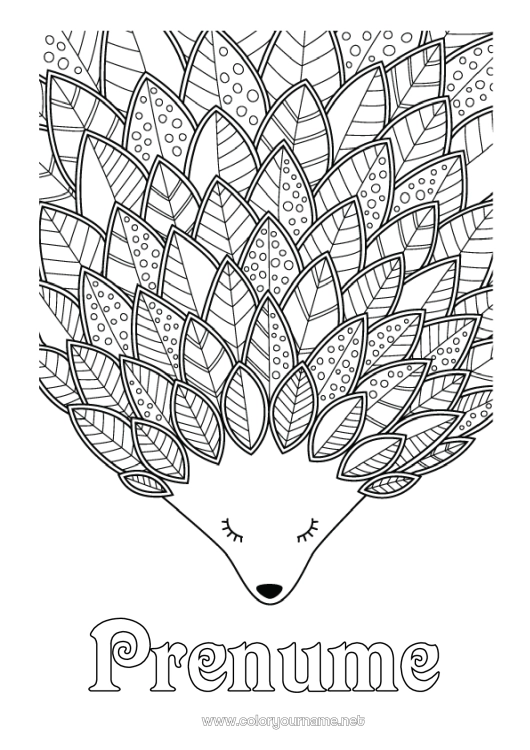 Pagină de colorat de imprimat Arici Toamnă Animal Frunze Desene de colorat complexe Zentangle Animale din pădure