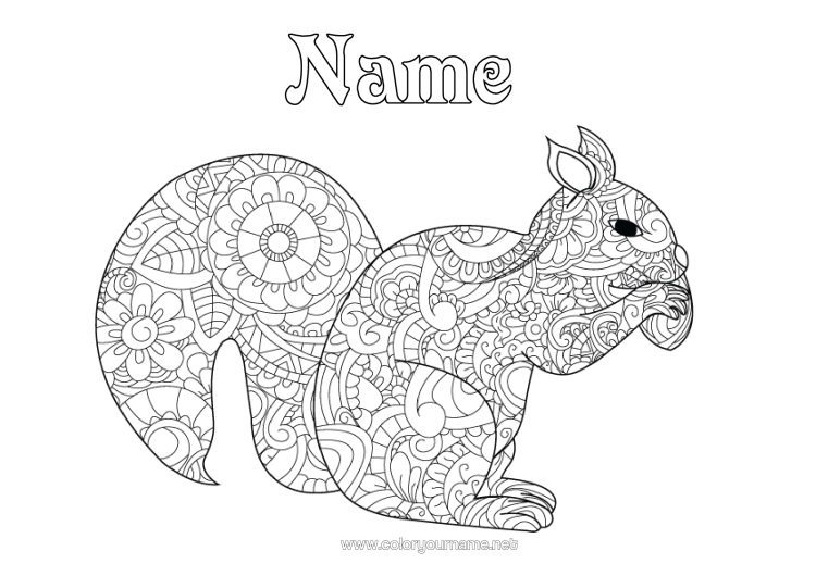Colouring page to print Squirrel Animal Zentangle Forest Animals