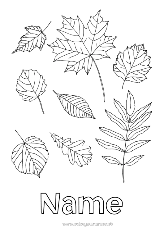Colouring page to print Autumn Leaves Oak Maple