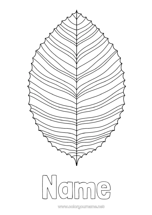 Colouring page to print Leaves