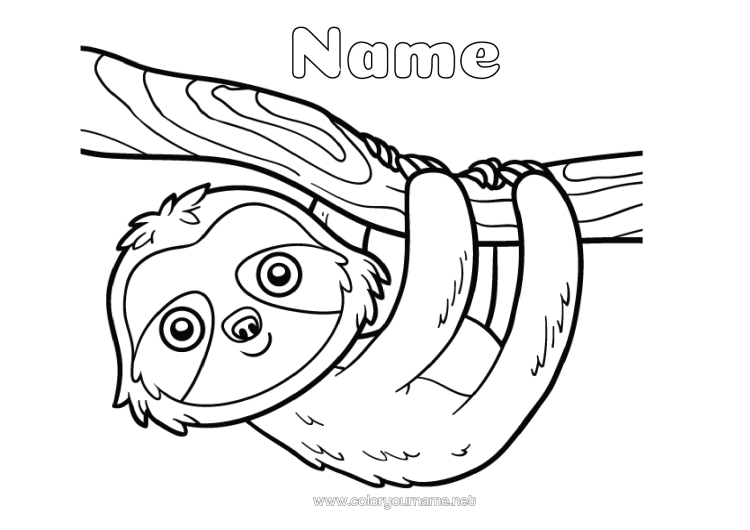 Colouring page to print Animal Forest Animals Sloth
