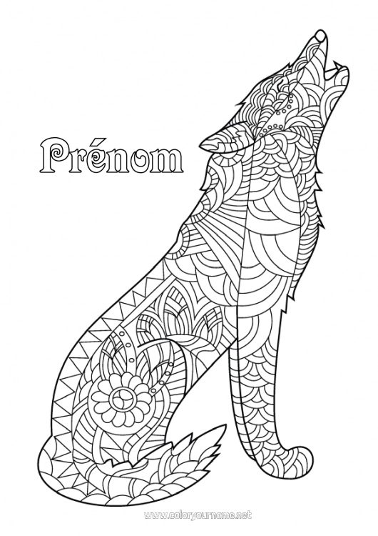 Coloriage à imprimer Loup Renard Zentangle Animaux de la forêt