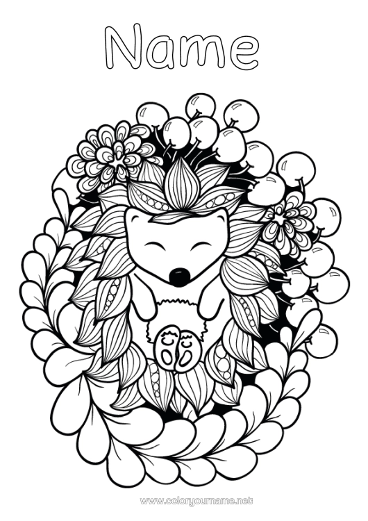 Colouring page to print Hedgehog Autumn Animal Forest Animals