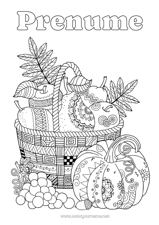 Pagină de colorat de imprimat Dovleac Toamnă Coș Fructe Zentangle Pere Strugure Măr