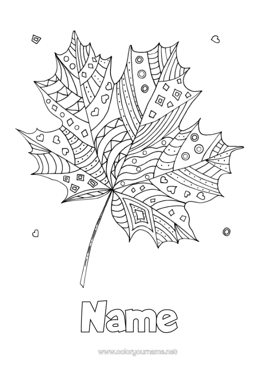 Colouring page to print Autumn Leaves Zentangle Maple