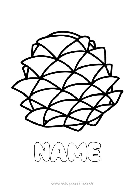 Colouring page to print Easy Colouring Pages Pine Cone