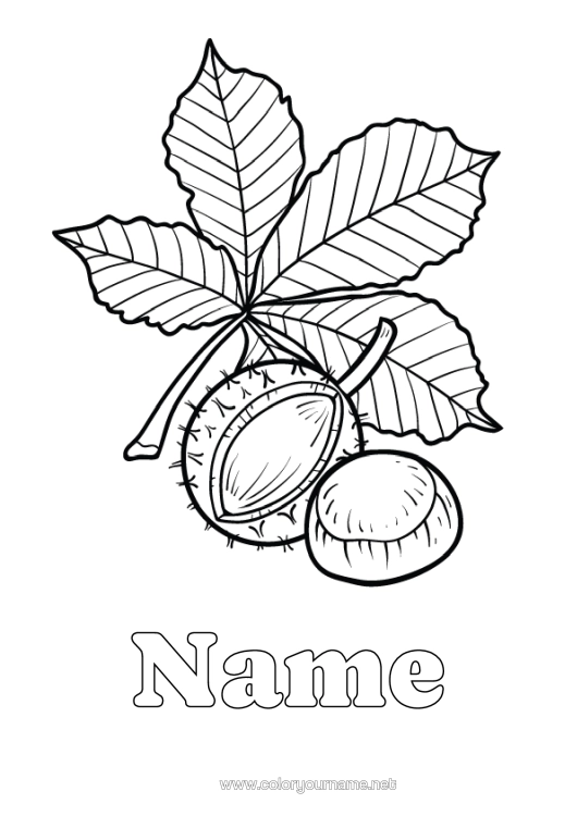 Colouring page to print Leaves Chestnut