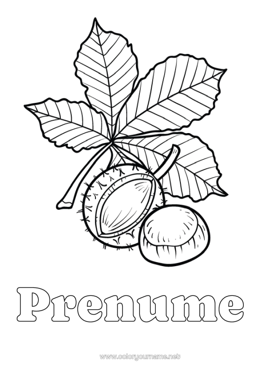 Pagină de colorat de imprimat Frunze Castană