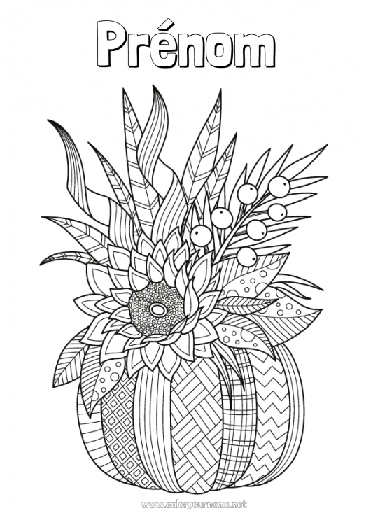 Coloriage à imprimer Citrouille Fleurs Automne Feuilles Tournesol Zentangle