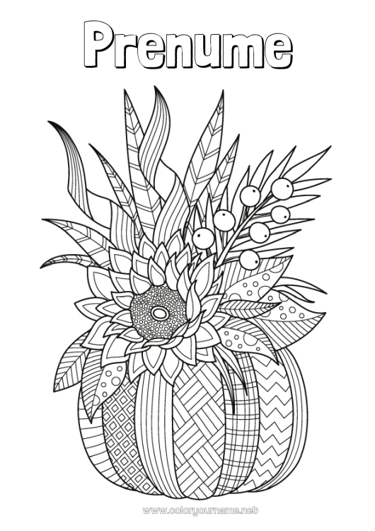 Pagină de colorat de imprimat Dovleac Flori Toamnă Frunze Floarea-soarelui Zentangle