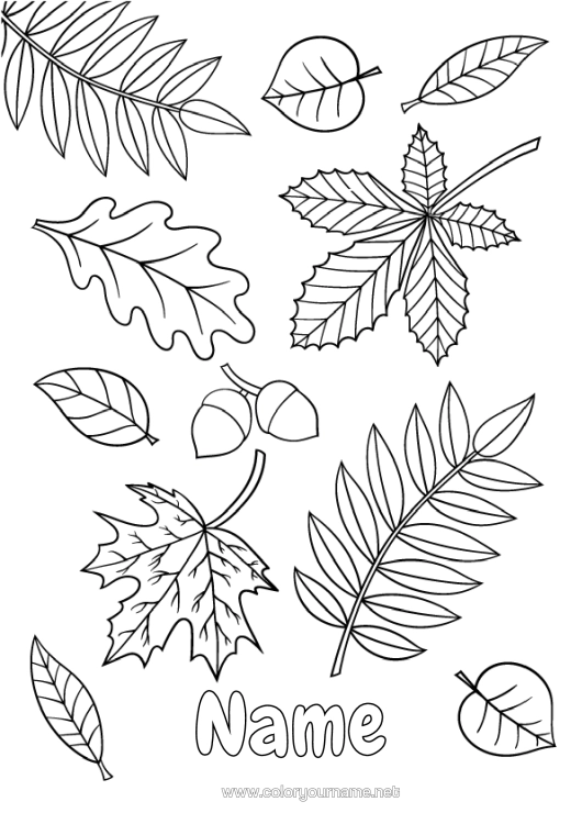 Colouring page to print Autumn Leaves