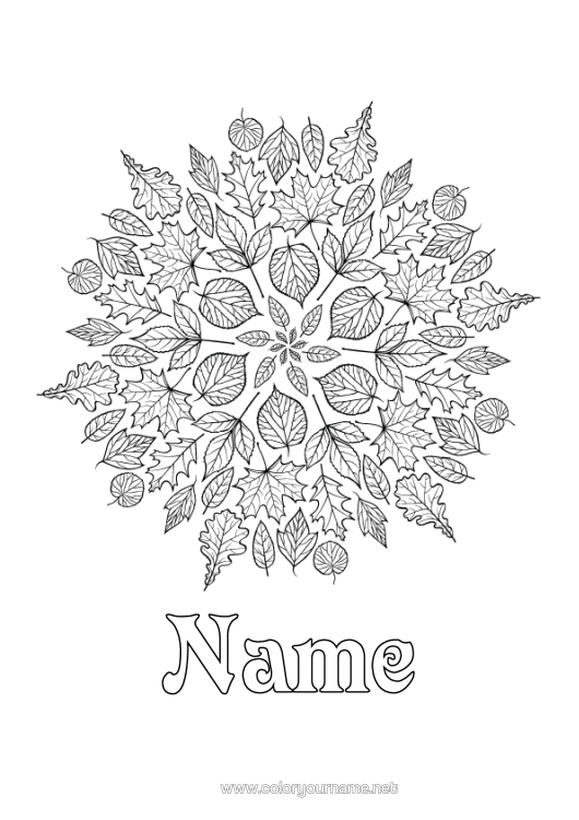 Colouring page to print Mandala Autumn Leaves