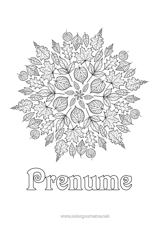 Pagină de colorat de imprimat Mandala Toamnă Frunze