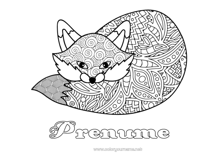 Pagină de colorat de imprimat Vulpe Animal Desene de colorat complexe Zentangle Animale din pădure