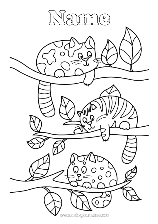 Colouring page to print Cat Animal Intermediate Colouring Sheets Dogs And Cats