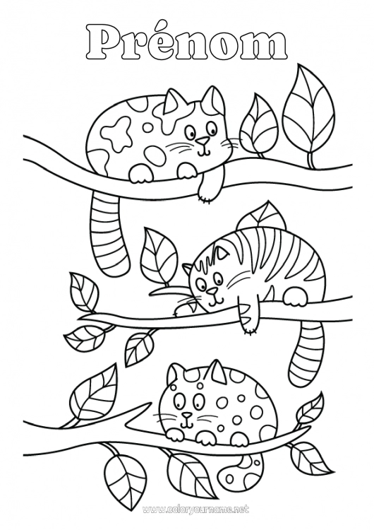 Coloriage à imprimer Chat Animal Coloriages intermédiaires Chiens et chats