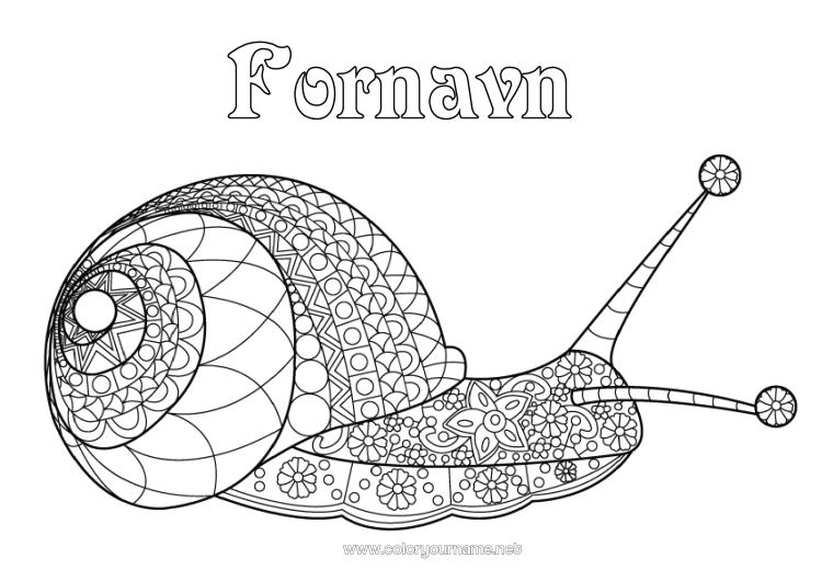 Fargeleggingssiden til utskrift Dyr Snegle Komplekse fargelegginger Zentangle