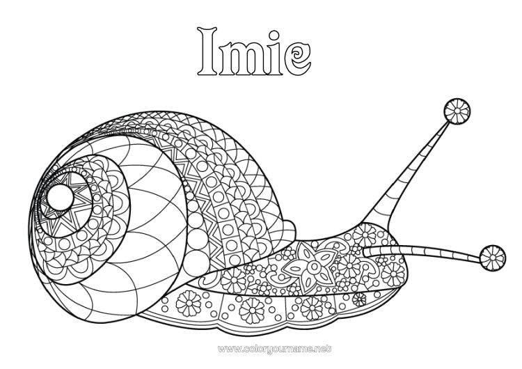 Kolorowanka do wydruku Zwierzę Ślimak Złożone kolorowanki Zentangle