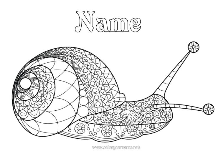 Colouring page to print Animal Snail Complex Colouring Pages Zentangle