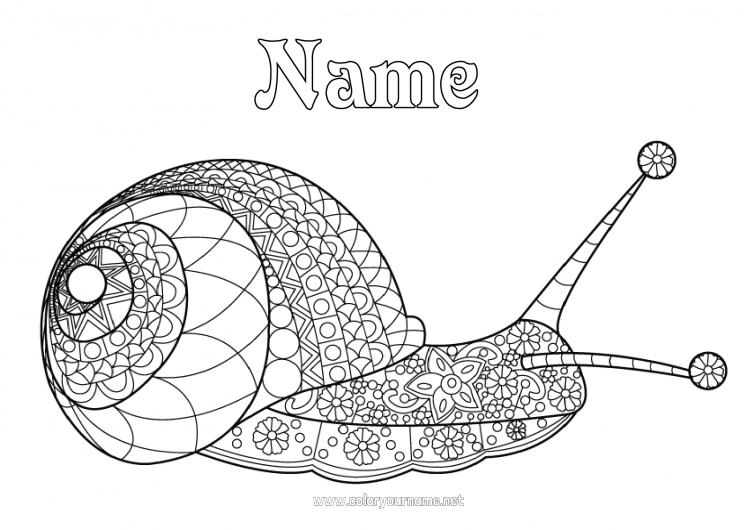 Coloring page to print Snail Complex coloring pages Zentangle