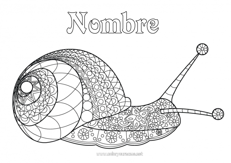 Dibujo para colorear para imprimir Caracol Dibujos complejos para colorear Zentangle